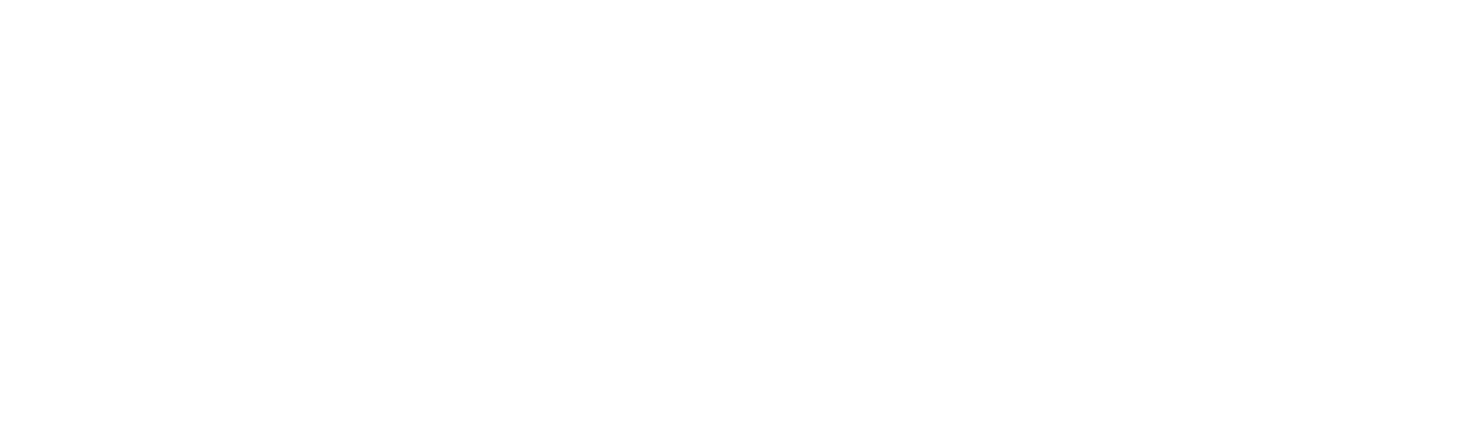 Digital Rakes - Business Technology Solutions For All